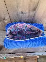 20241219_134100.webp