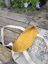 20241012_144859.webp