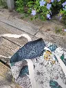 20241012_144407.webp