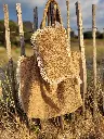 20250530_205008.webp