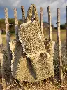 20250530_205329.webp