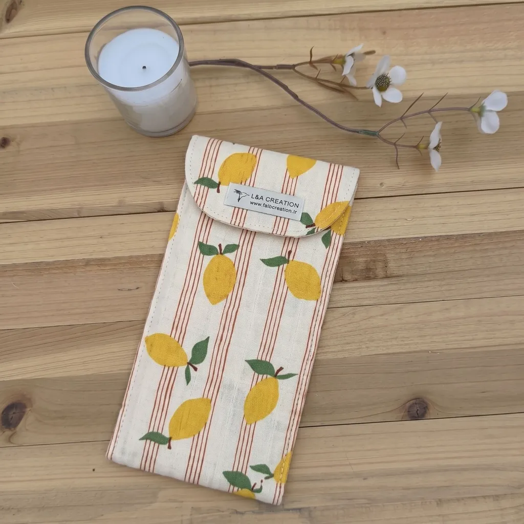 etui brosse à dent pochette à couvert limon.webp