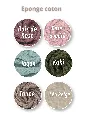 Eponge 2026_2027.webp