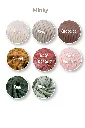 minky 2026_2027.webp